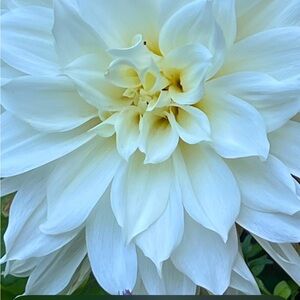 Meet your Posher, Fran